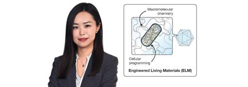 Seunghyun Sim, and engineered living materials
