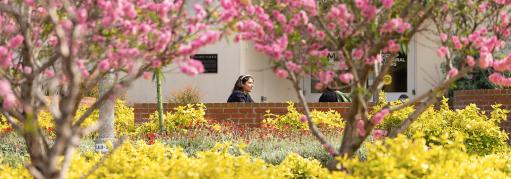 campus image