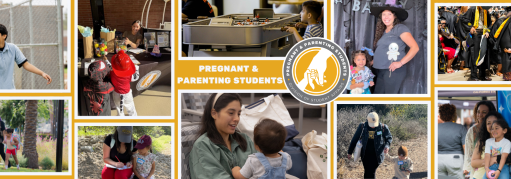 Banner for Pregnant and Parenting Students