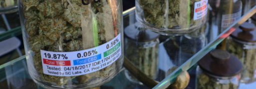 COB CANNABIS LEGAL ISSUES