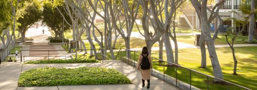 StudentsOnCampus