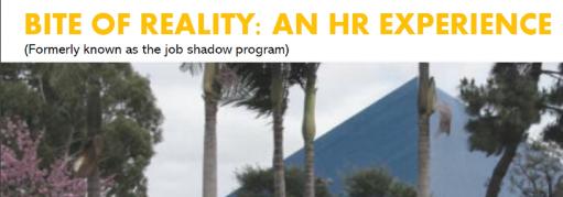 a bit of reality AN HR EXPERIENCE