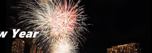 Fireworks for the New Year