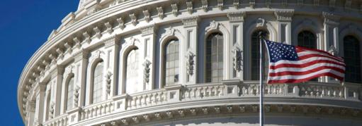 Capitol building United States and Flag 