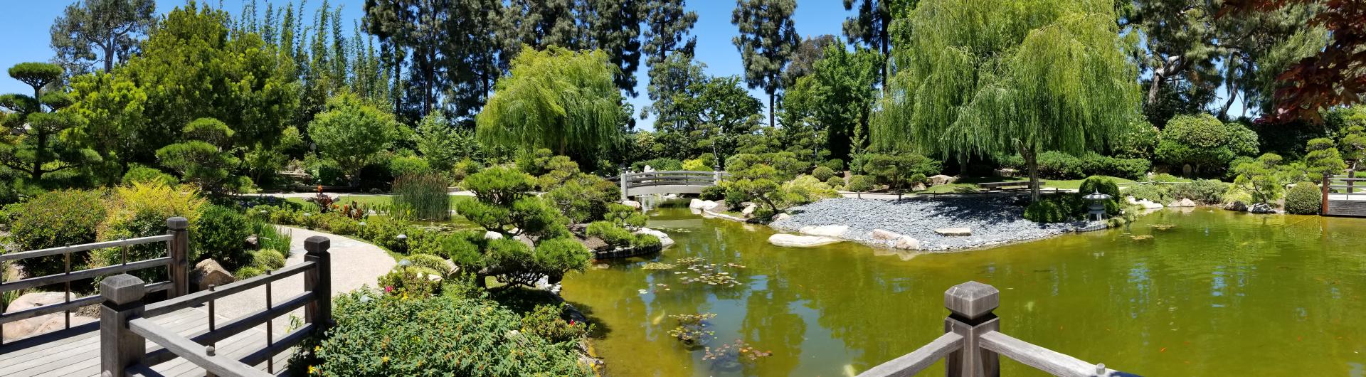 Garden photo