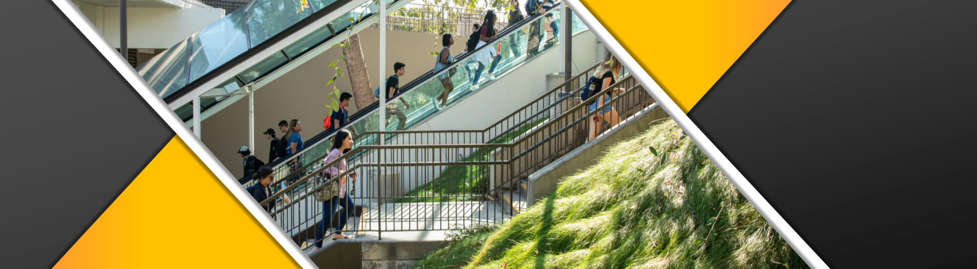 CSULB Career Development Center - Students home page