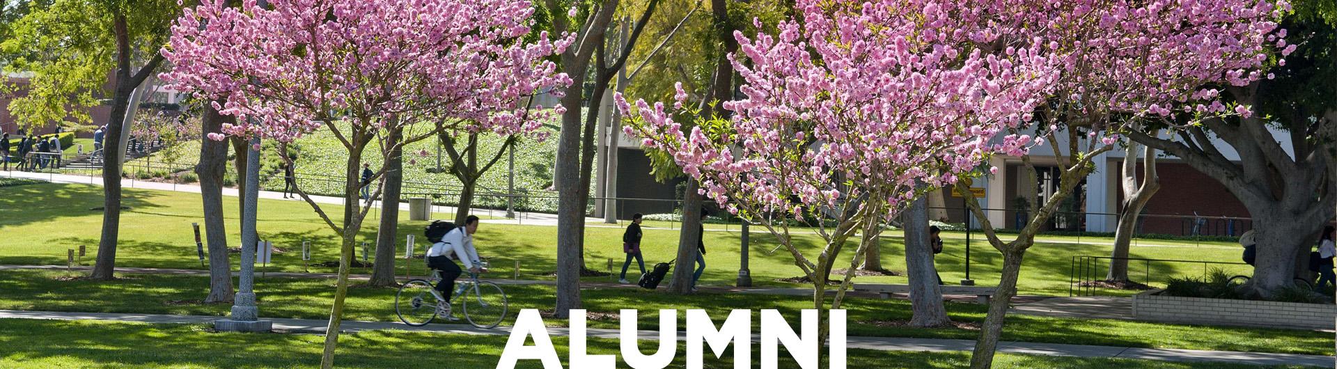 Alumni Banner