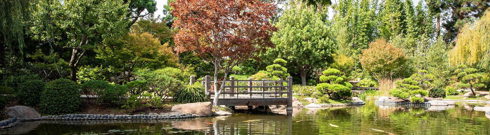 japanese garden