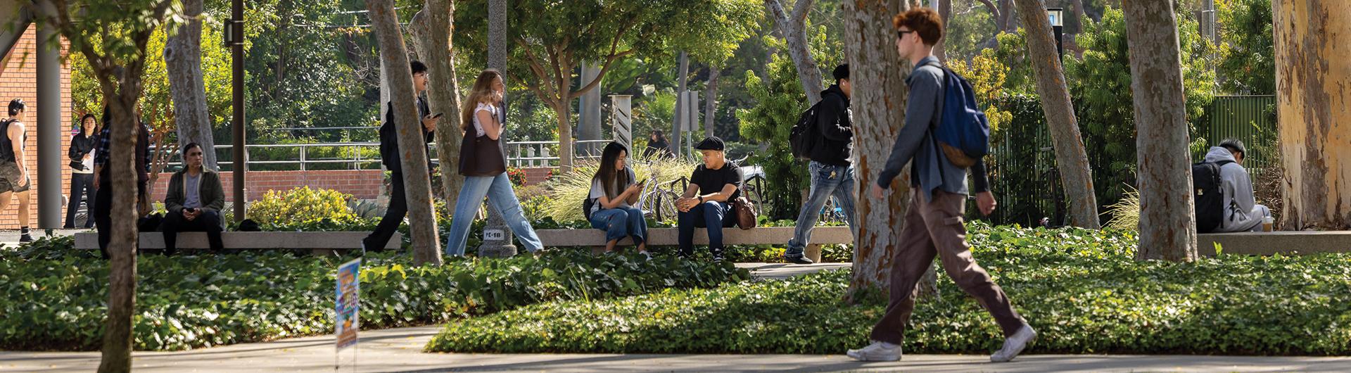 Students at CSULB
