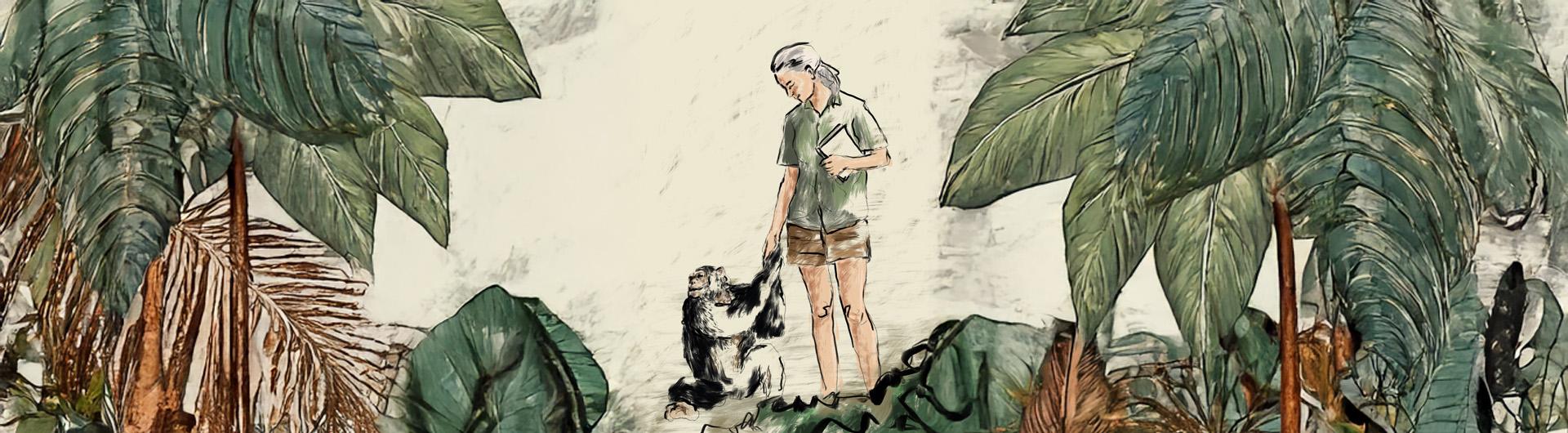 Jane Goodall with chimpanzee