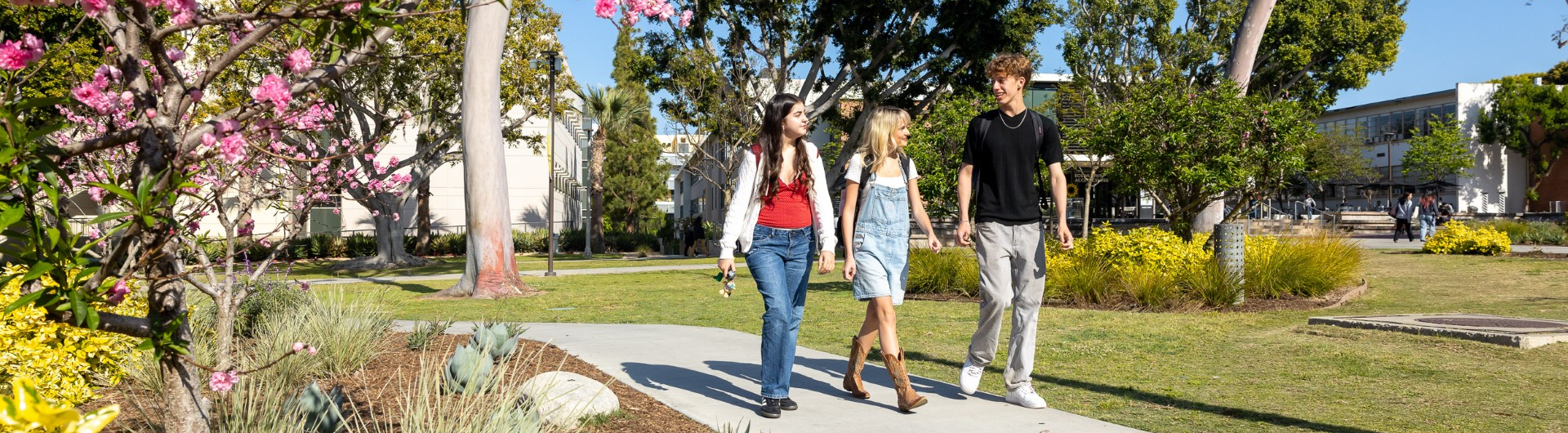 Image of three students walking on campus.
