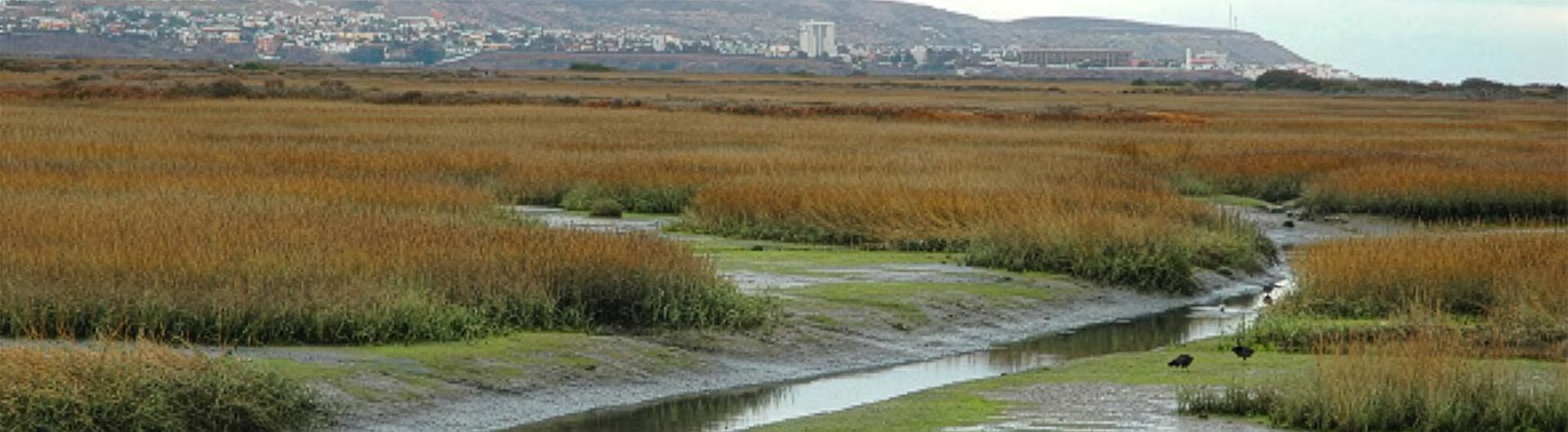 Tijuana River National Estuarine Research Reserve, a wetlands in Imperial Beach, CA