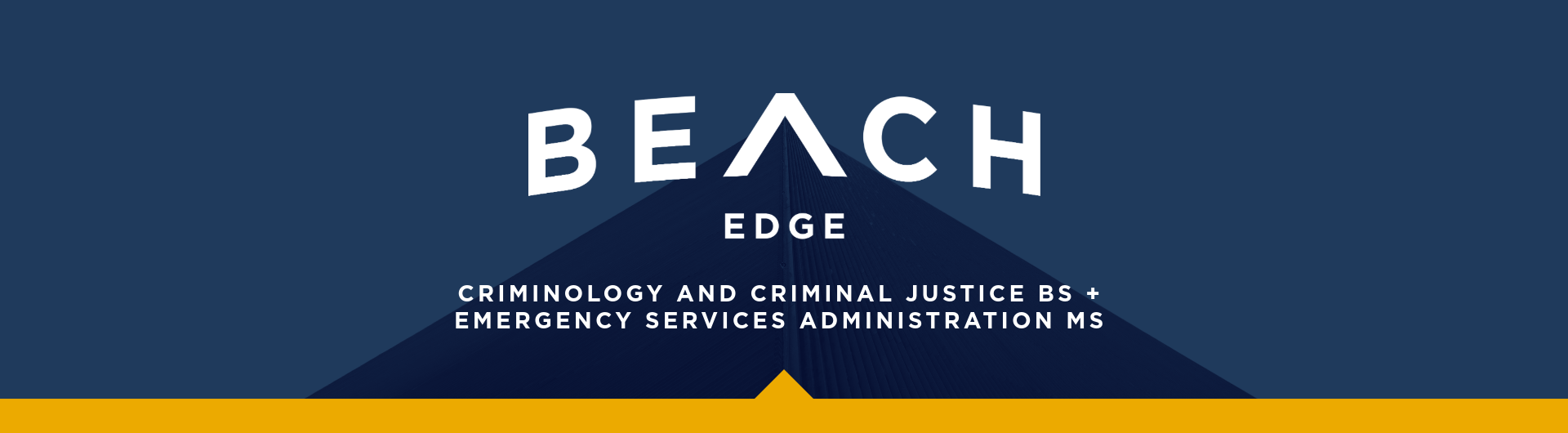 Beach Edge Banner