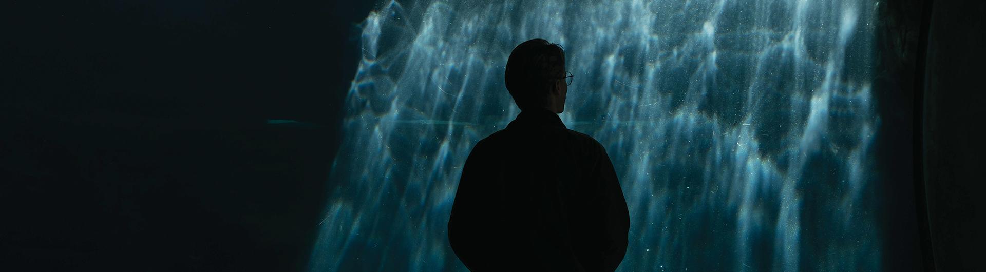 A silhouette in front of an aquarium tank