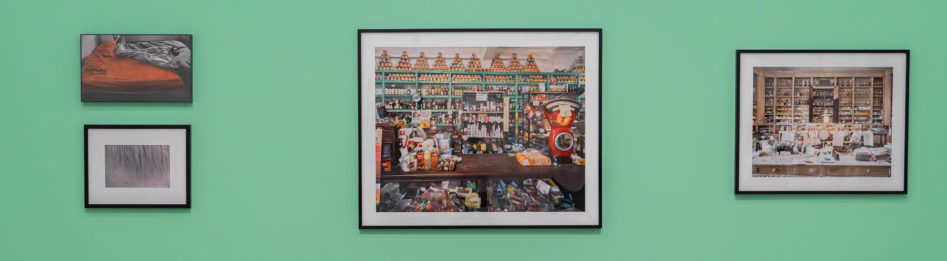 Four framed photographs hung on a green wall in the museum gallery