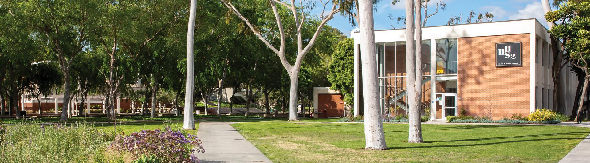 A campus building among trees