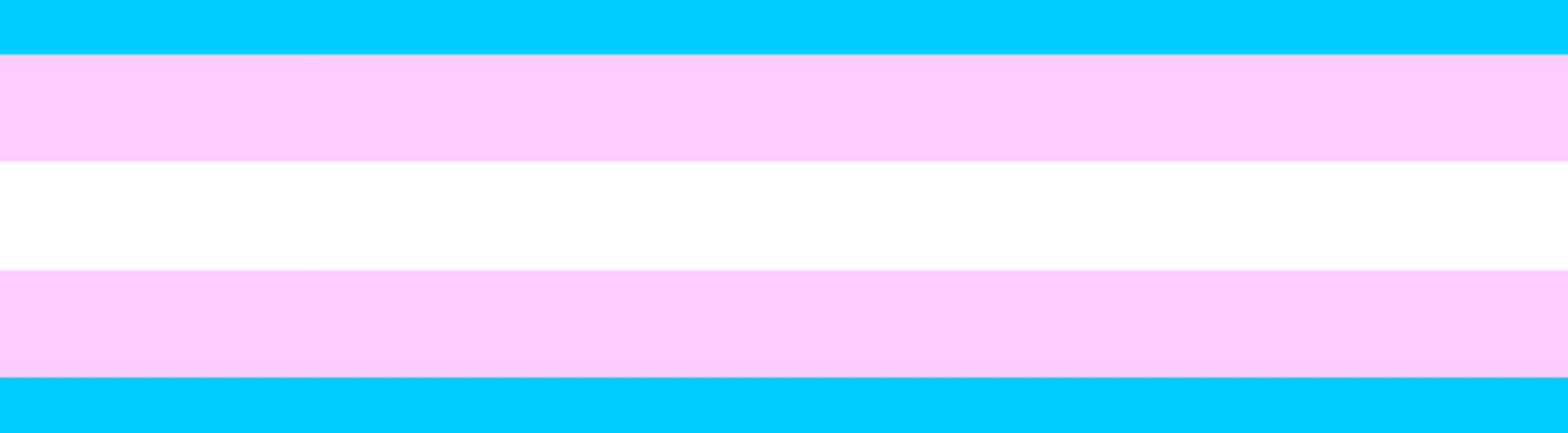 Trans Banner