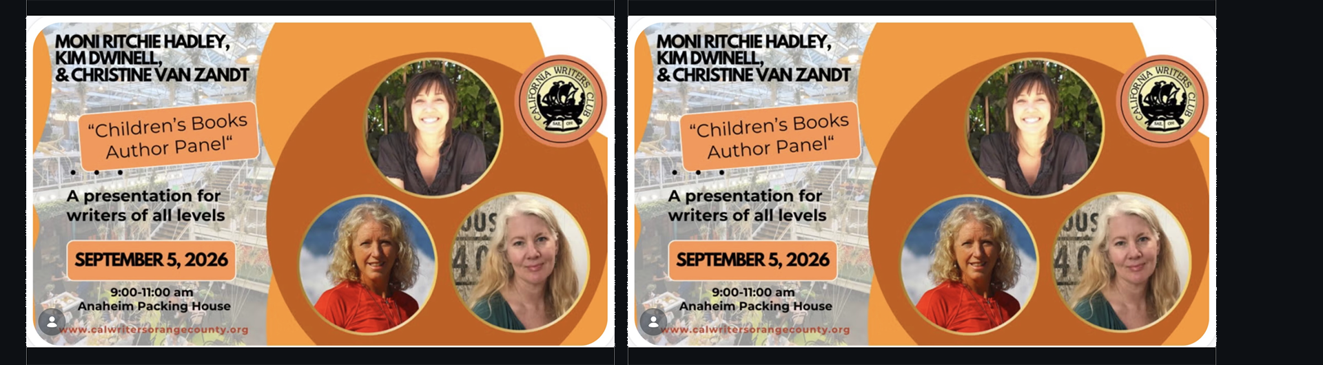 Children's book author panel banner