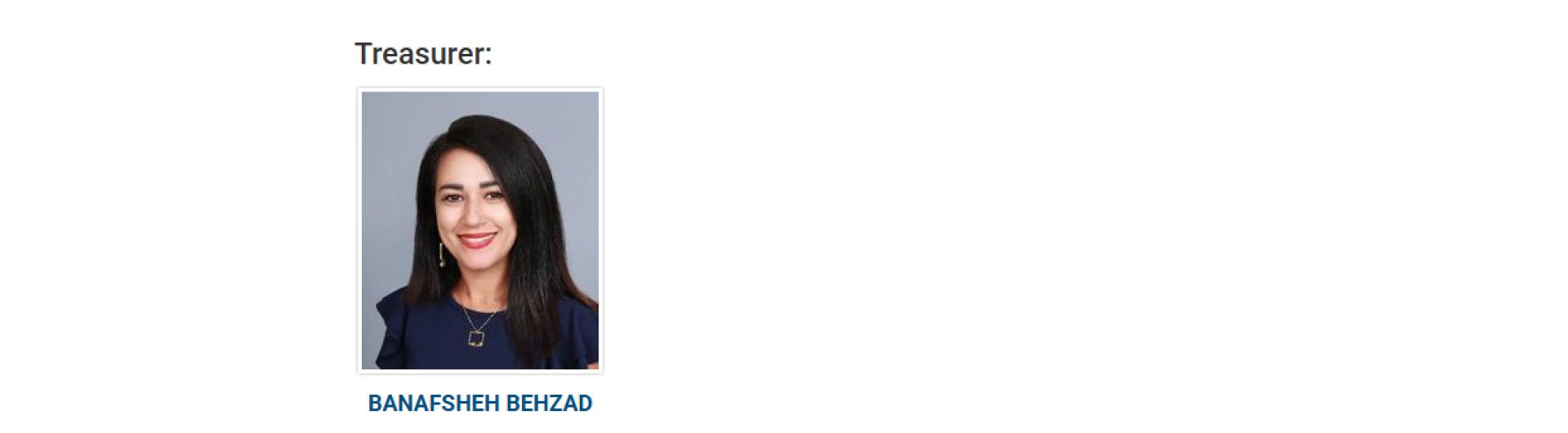  Banafsheh Behzad, Chair of the Department of Information Systems, has been elected to serve as the next Treasurer of the Institute for Operations Research and the Management Sciences (INFORMS