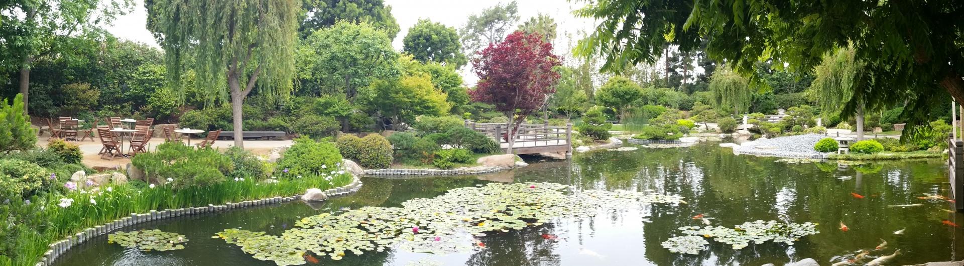 Panoramic photo of the Garden in the morning