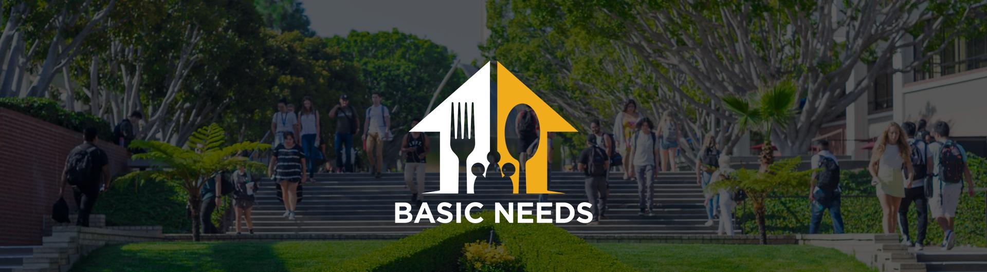 Basic Needs Banner