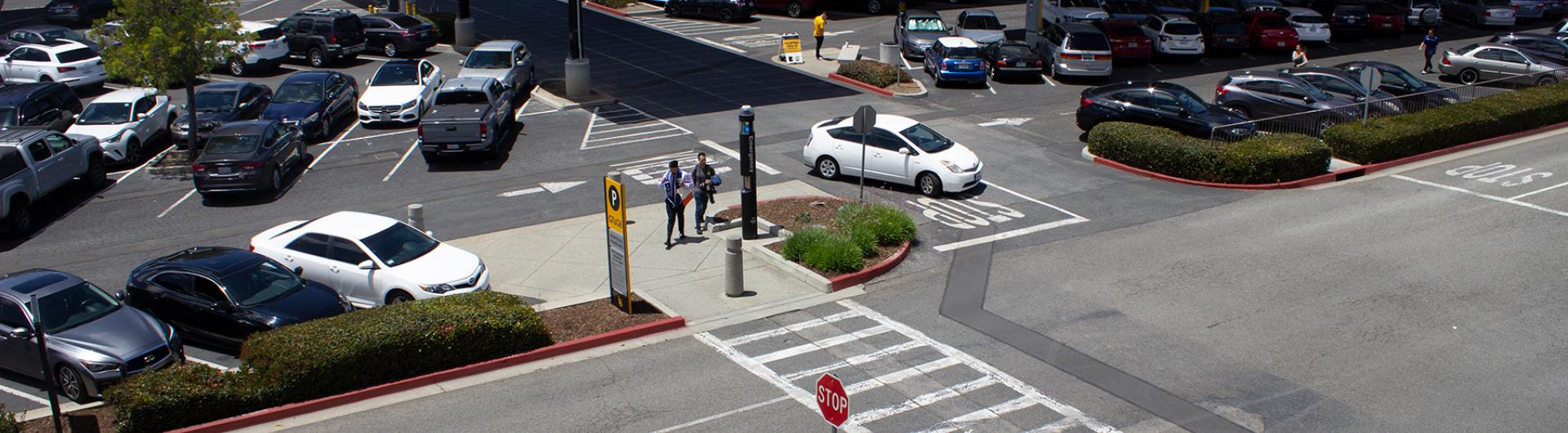 Parking lot individuals in crosswalk