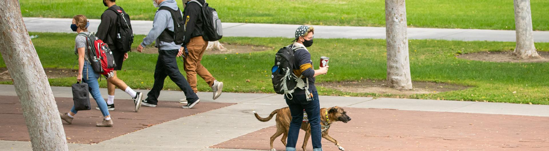 Students walking across campus