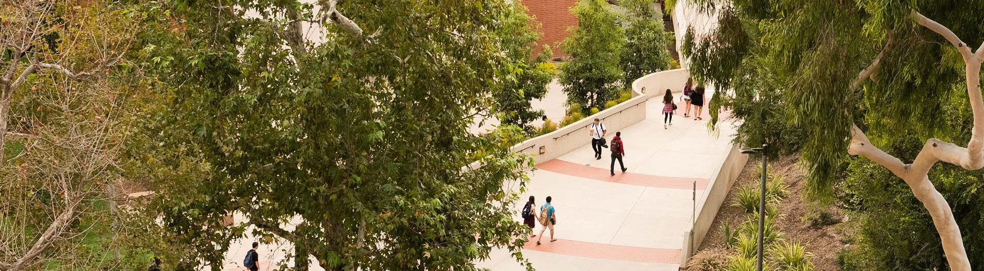 Students on campus