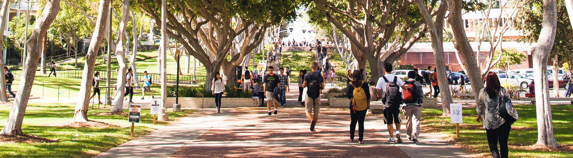 Students walk on the CSULB campus