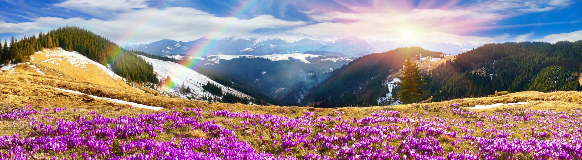 Nature Banner