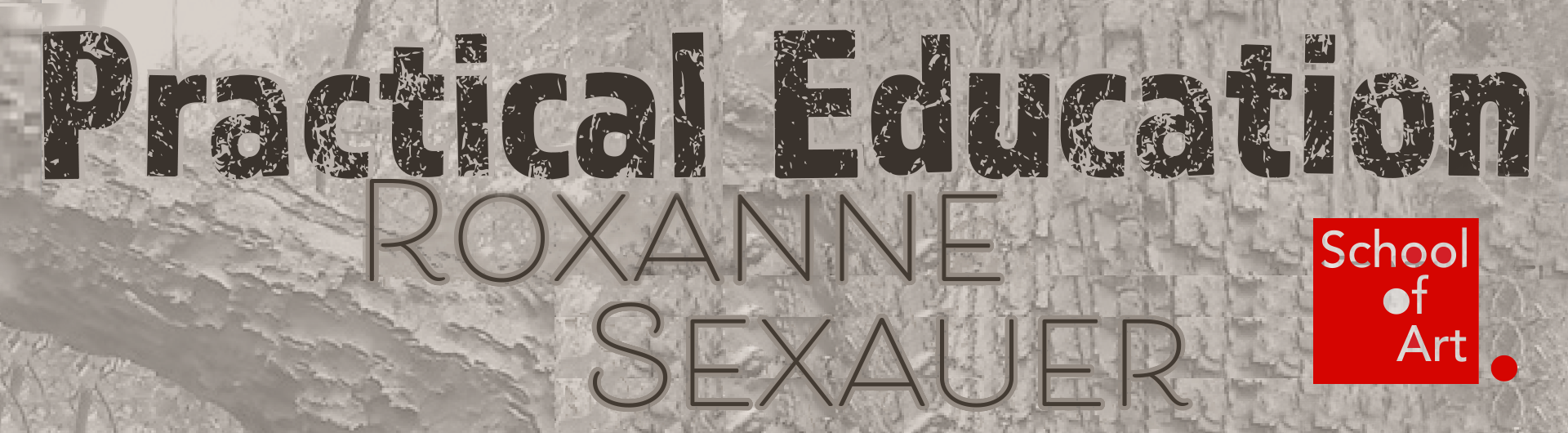 Banner Image - Practical Education Featuring Roxanne Sexauer Professor Emerita, California State University Long Beach