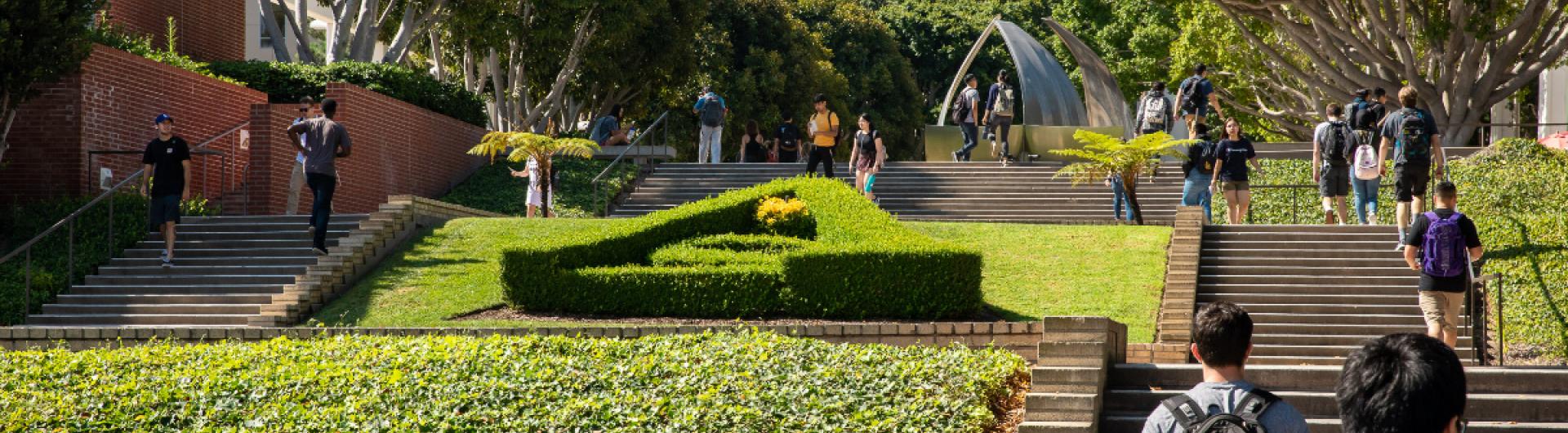 students walking on steps mid-campus