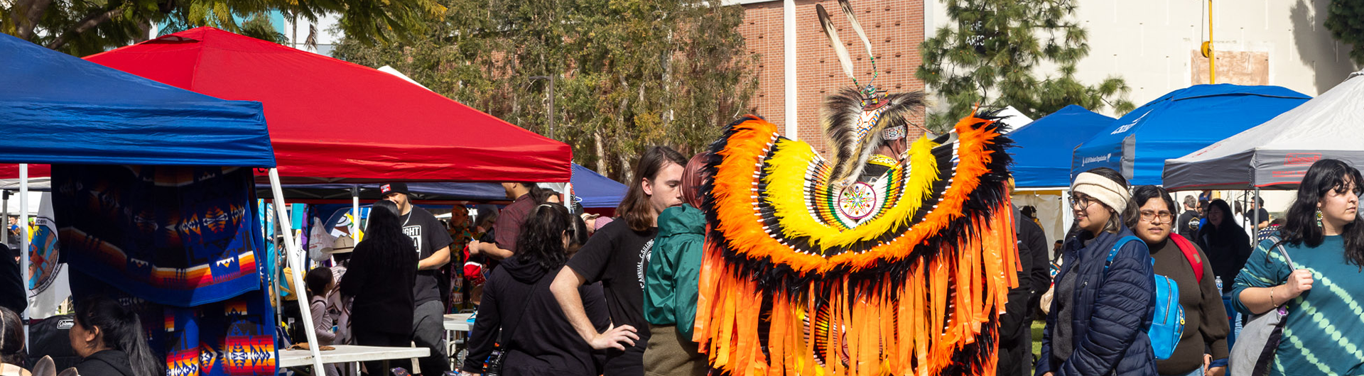 Pow wow banner