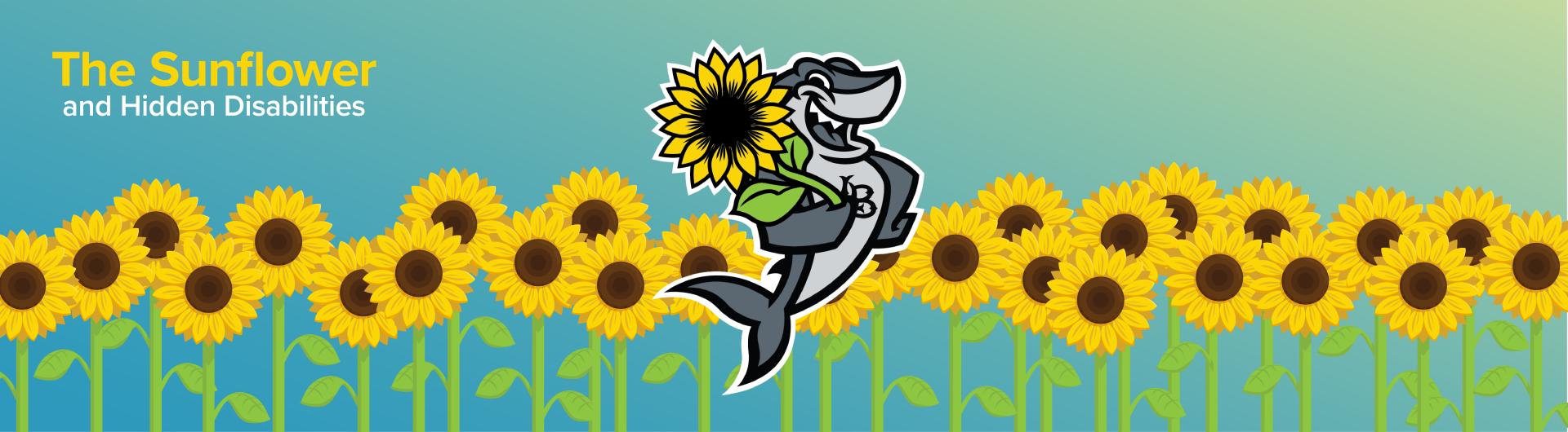 Elbee holding a sunflower with sunflowers in the background representing Hidden Disabilities. 