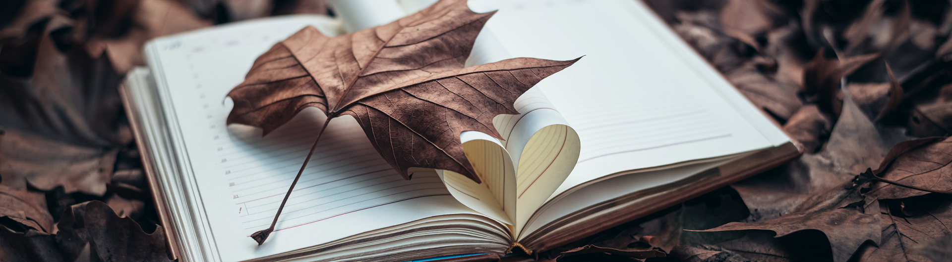 Open book on a pile of leaves