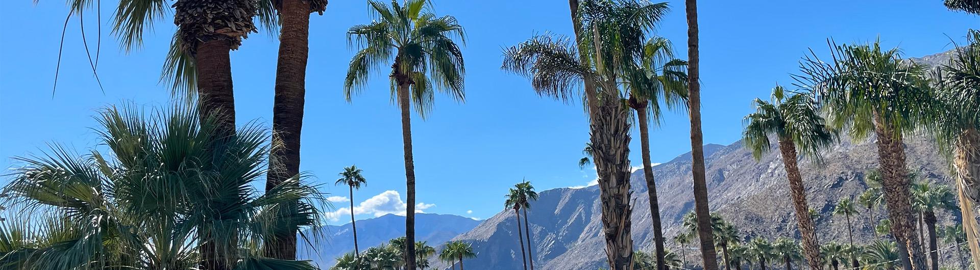 Palm Springs, CA