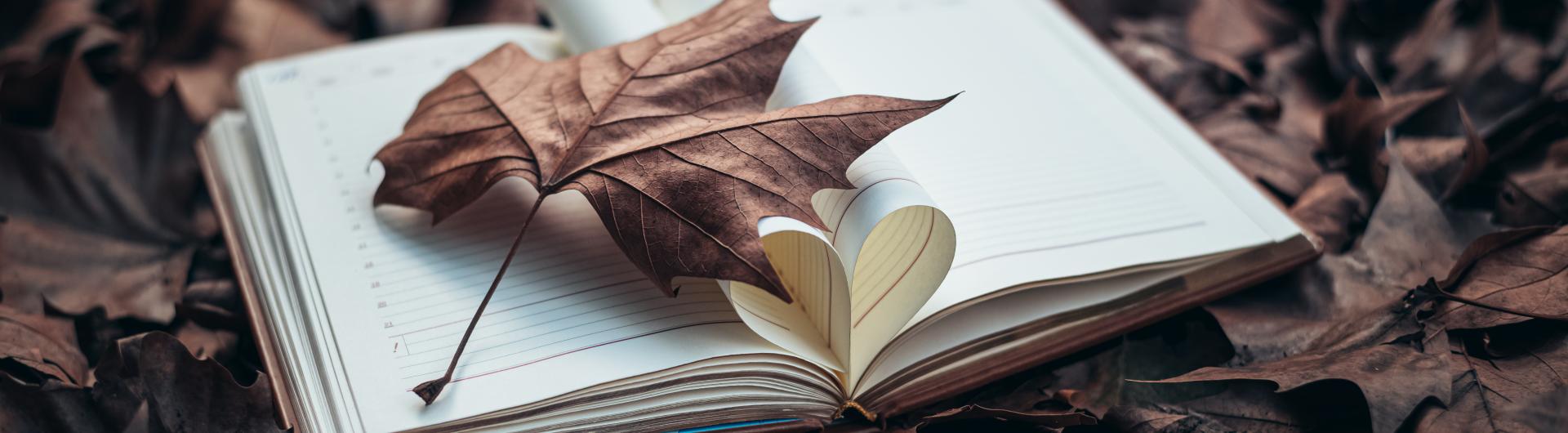 Fall leaves with a book on top