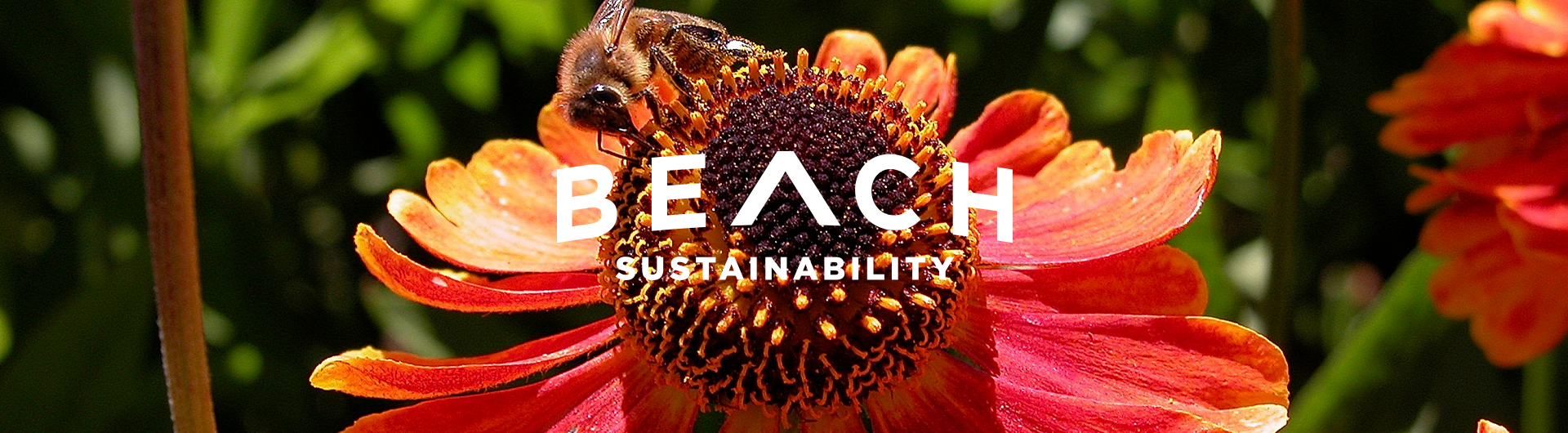 Banner with sustainability logo and bee on flower