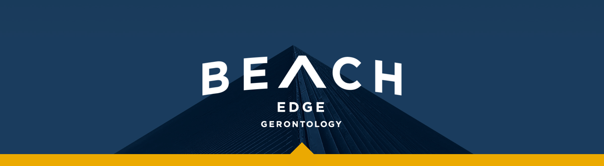 Beach EDGE banner dark blue and yellow