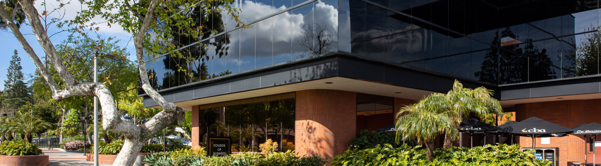 Exterior Shot of the College of Business building, featuring black mirrored windows and green landscaping below.