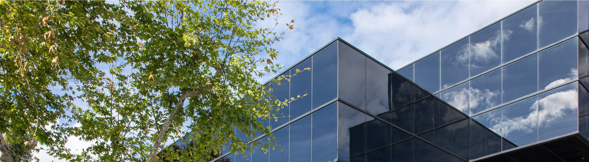 A partial view of the College of Business building showing its dark glass windows reflecting views of clouds. A tree is in the foreground.