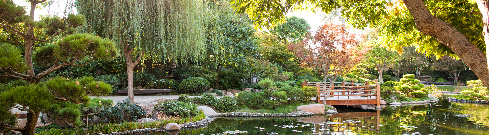 Japanese Garden image