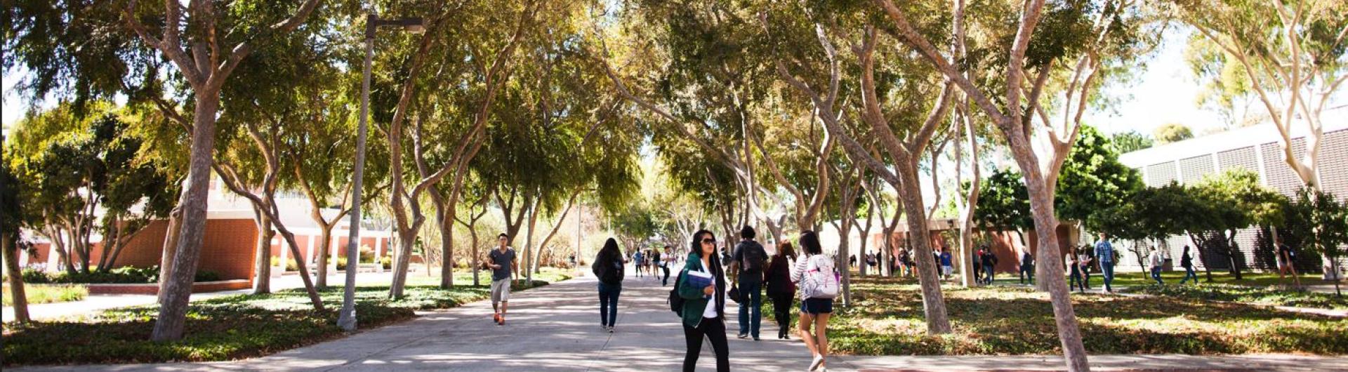 Students walking on campus