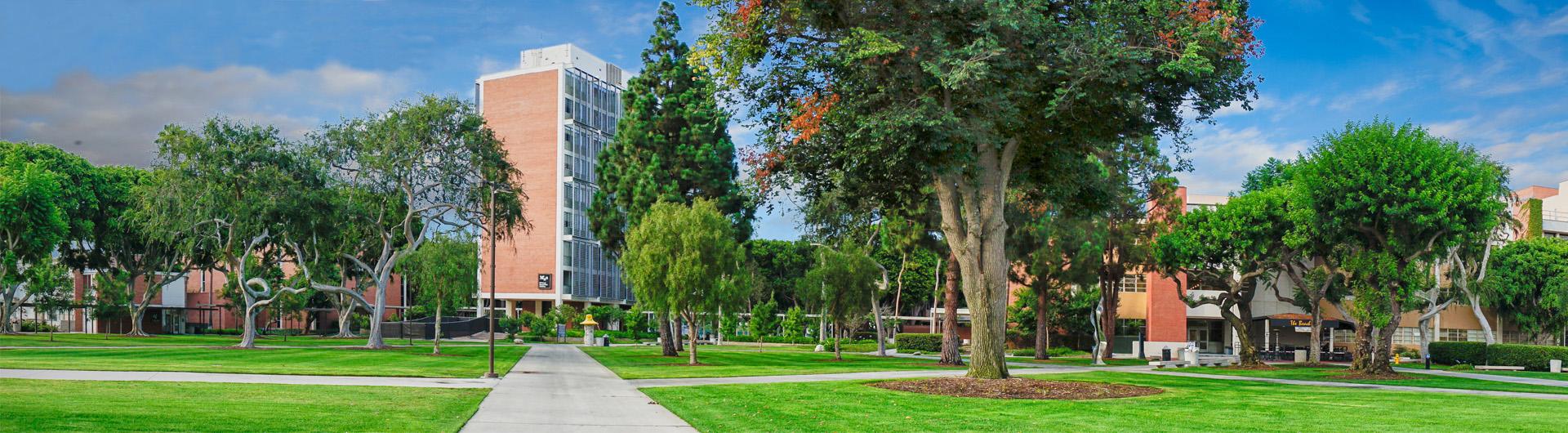 A view of the upper quad grassy area looking toward MHB