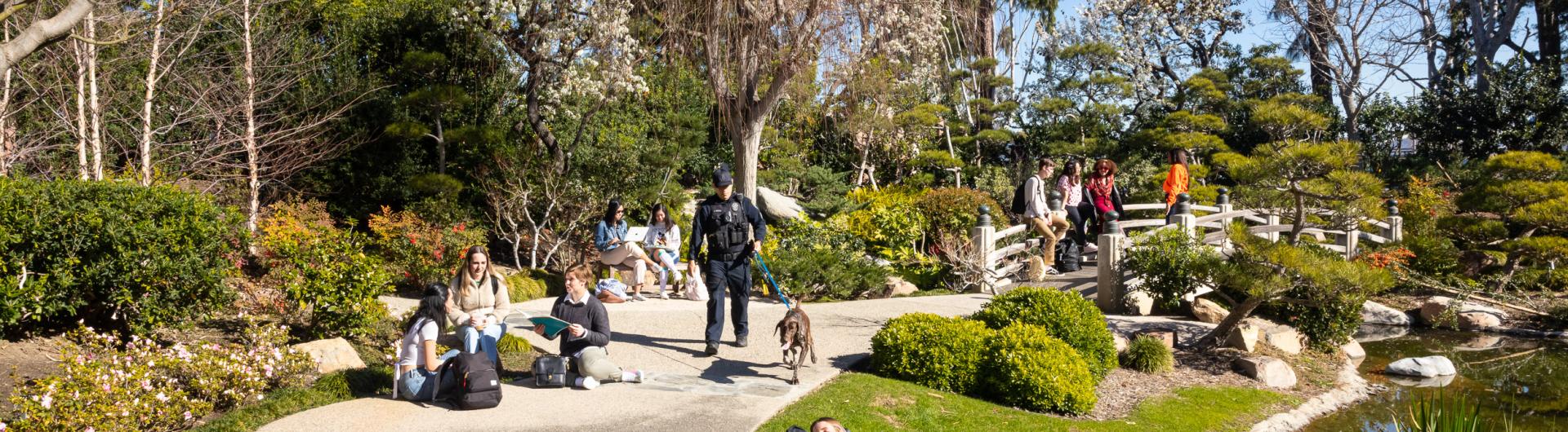 K9 Porto in the Japanese Garden