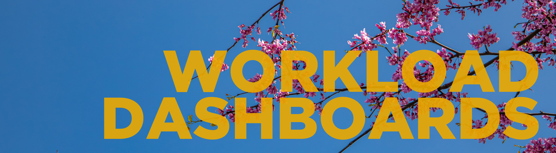 The banner image displays the words "WORKLOAD DASHBOARDS" in large, bold, yellow text. The background features a bright blue sky with pink cherry blossom branches in full bloom.