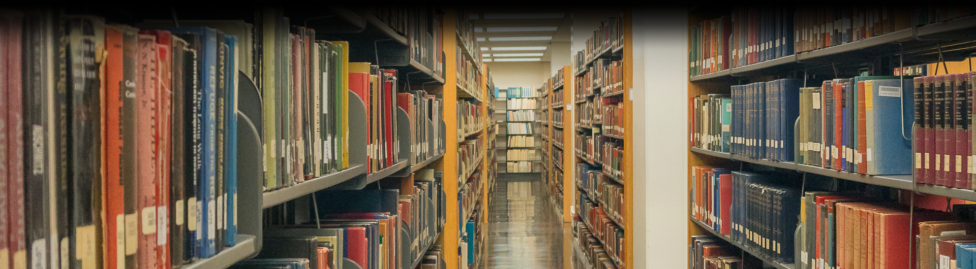 books in the library