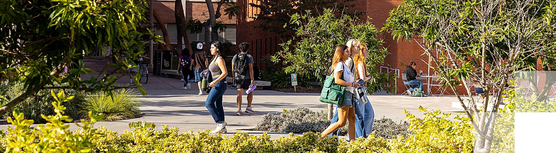 CSULB Students on campus