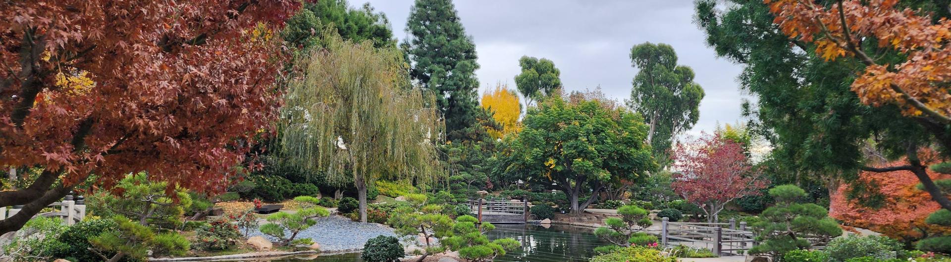 EBMJG Fall