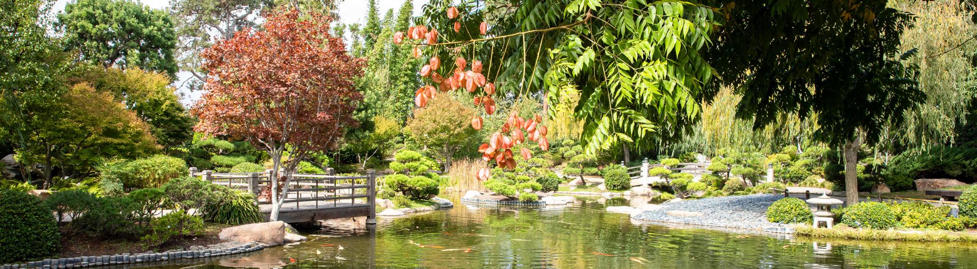 Photo of Japanese Garden